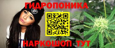 мяу мяу мука Гусиноозёрск