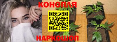 jwh Гусев