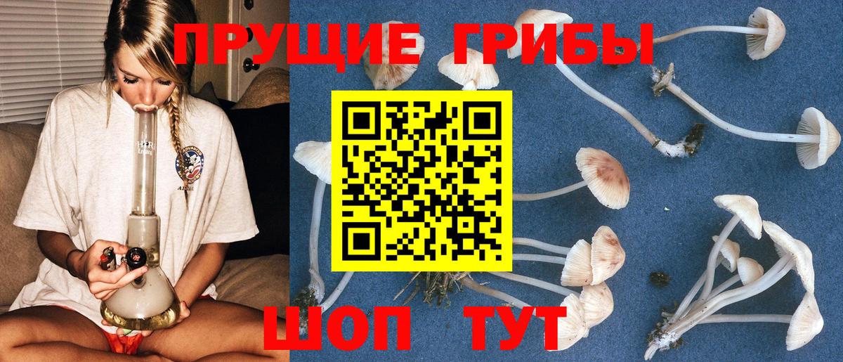 Псилоцибиновые грибы прущие грибы Дюртюли
